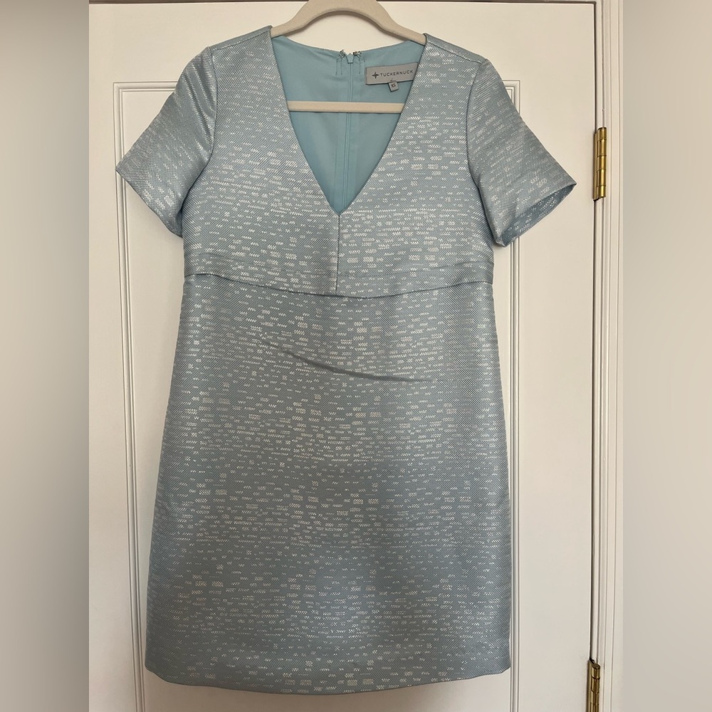 Tuckernuck Blue Mini Dress